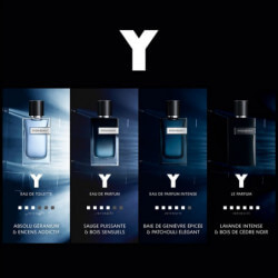 Y Men Eau De Parfum Intense (4)