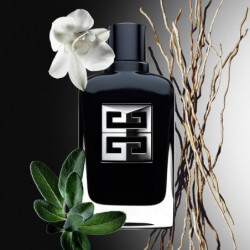 Gentleman Society Eau De Parfum Pour Homme (3)