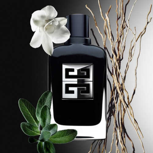 Gentleman Society Eau De Parfum Pour Homme 3