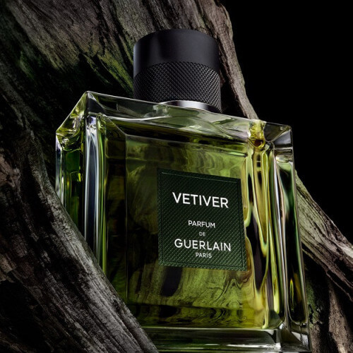 Vetiver Le Parfum Eau De Parfum 2