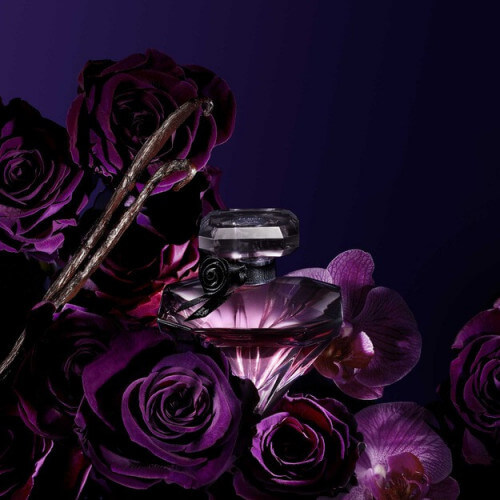 La Nuit Trésor Eau de Parfum 2