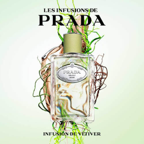 Infusion De Vétiver Eau De Parfum Boisée Lumineuse 2