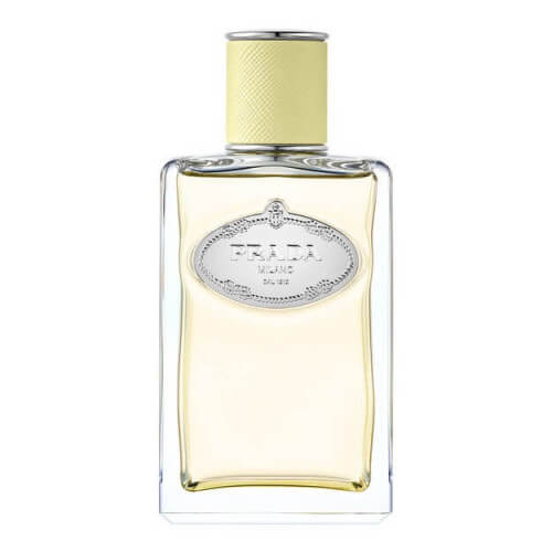 Infusion De Gingembre Eau De Parfum Vive Héspéridée Boisée Pour Homme Et Femme 1