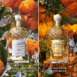 Aqua Allegoria Forte Mandarine Basilic Eau De Parfum (4)