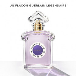 Insolence Eau De Parfum (5)