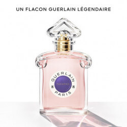 Insolence Eau De Toilette (5)