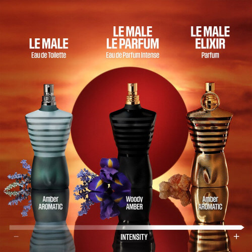 Le Male le Parfum Eau de Parfum Intense 8