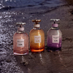 Coach Dreams Moonlight Eau De Parfum (3)