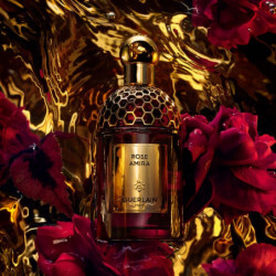 Les Absolus Allegoria Rose Amira - Eau De Parfum (2)