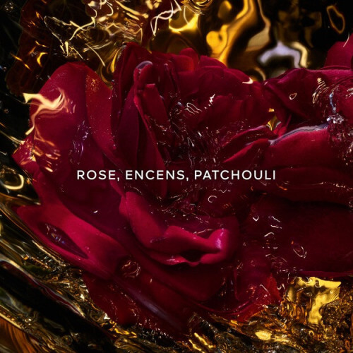 Les Absolus Allegoria Rose Amira - Eau De Parfum 3