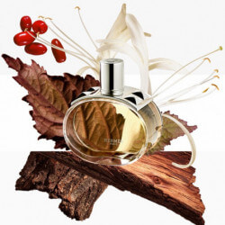 Barénia Eau De Parfum (4)