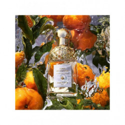 Aqua Allegoria Mandarine Basilic - Coffret 2024 (3)