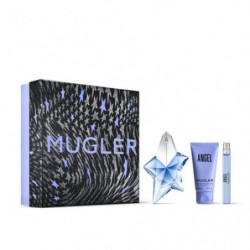 Angel - Coffret Noël 2024