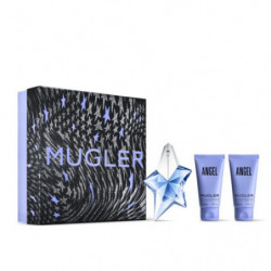 Angel - Coffret Noël 2024