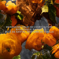 Aqua Allegoria Mandarine Basilic Forte  - Coffret Noël 2024 (4)