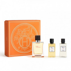 Terre D'Hermès - Coffret Noël 2024