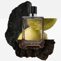 Terre D'Hermès Eau De Parfum Intense (5)