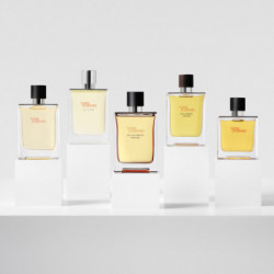 Terre D'Hermès Eau De Parfum Intense (6)